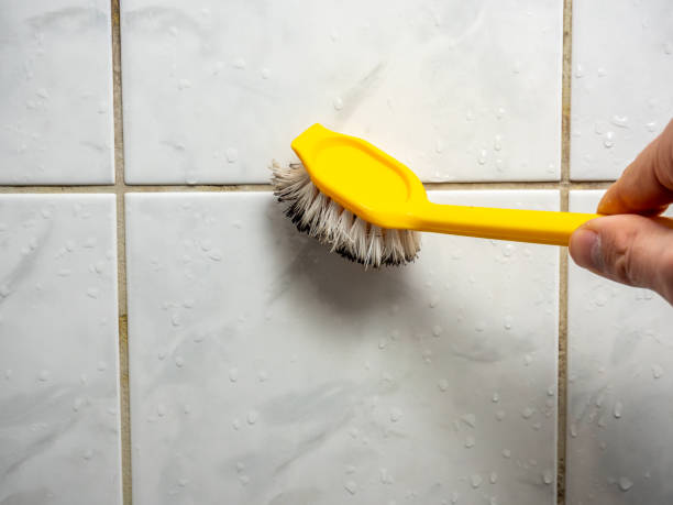 Best Mold Removal Company Near Me  in Weber City, VA