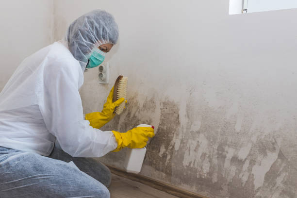 Water Damage Restoration in Weber City, VA