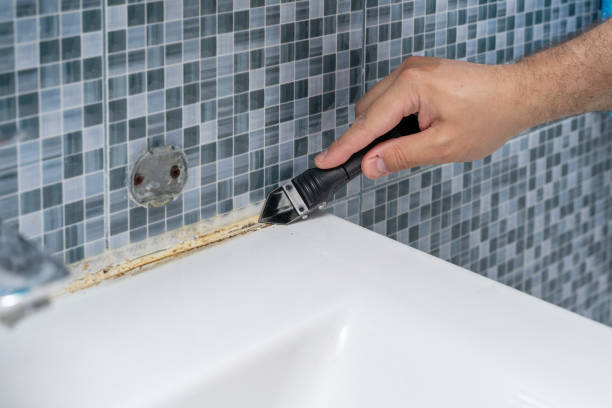 Best Mold Cleaning Services  in Weber City, VA