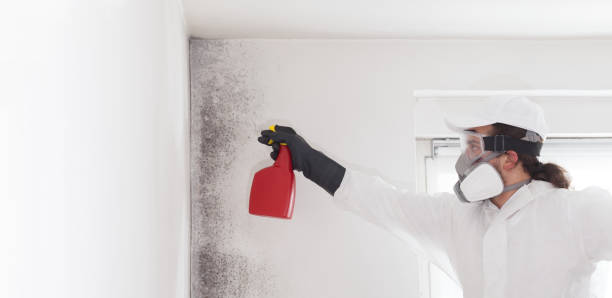 Crawl Space Mold Removal in Weber City, VA